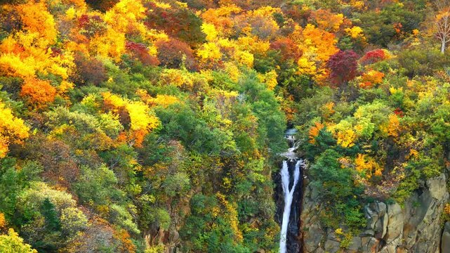 蔵王駒草平の紅葉と不帰の滝【宮城県刈田郡蔵王町】