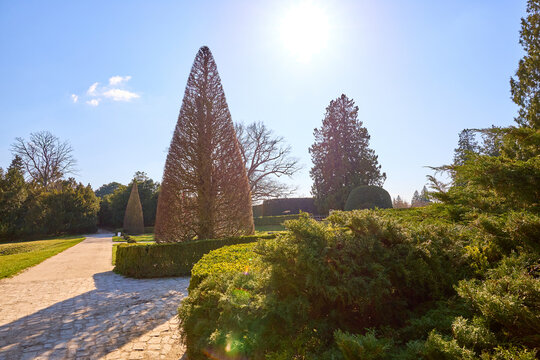 Sunny garden pathway with sculpted trees and blue sky