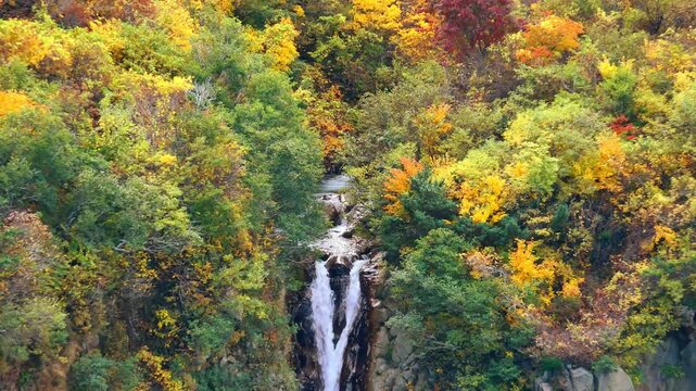 秋の蔵王 駒草平（不帰の滝）【宮城県刈田郡蔵王町】