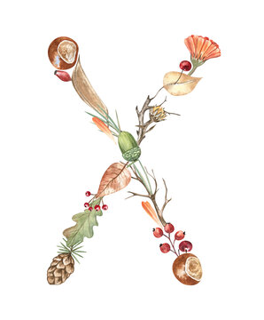 Autumn botanical letter X created from leaves, chestnuts, berries, acorns, twigs, and flowers. Beautiful and stylish autumn font for books, monograms, stickers, education projects