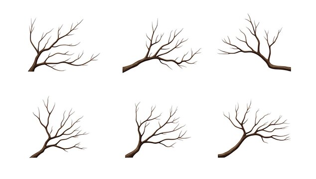 Set of six dry bare tree branches without leaves isolated for nature design and forest art