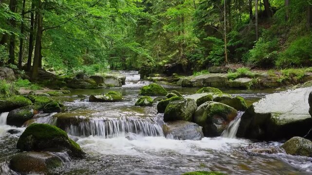 One minute loopable mountain river waterfall video with relaxing stream and singing birds sound.