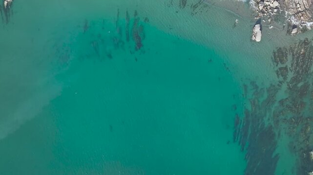 Top Down view of Cliffs and Fields over Welcombe Mouth Beach from a drone, North Devon and Cornwall Coastpath Border, Devon, England, Summer 2026