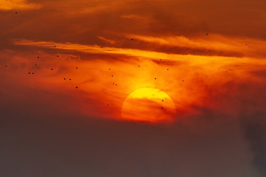 View of a vibrant sunset with a glowing sun partially obscured by deep orange and red clouds, with a flock of birds silhouetted against the sky in Jahanian, Pakistan.