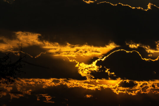 View of a dramatic sunset with golden light illuminating the edges of dark, heavy clouds and silhouettes of tree branches in Jahanian, Pakistan.