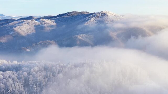 Aerial view of a forest covered with frost on the mountain slopes