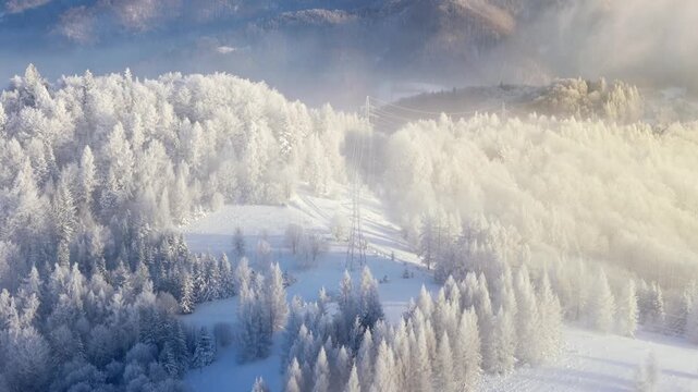 Aerial view of a forest covered with frost on the mountain slopes