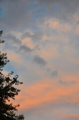 Colorful sunset sky with soft orange and pink hues blending into a pale blue horizon. Wispy clouds drift across the frame silhouetted tree branches against  fading light. © Mariana
