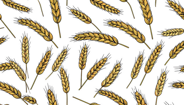 Seamless pattern of golden wheat ears, pixel art style, isolated on white background, harvest concept, food and agriculture