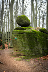 Obraz premium A granite boulder rests on a larger rock formation. It is covered in green moss and surrounded by tall, bare trees. The scenery shows the natural beauty of the forest.