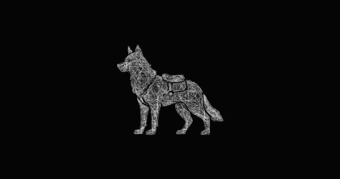 Sketch animal companion icon animation - smooth progressive reveal