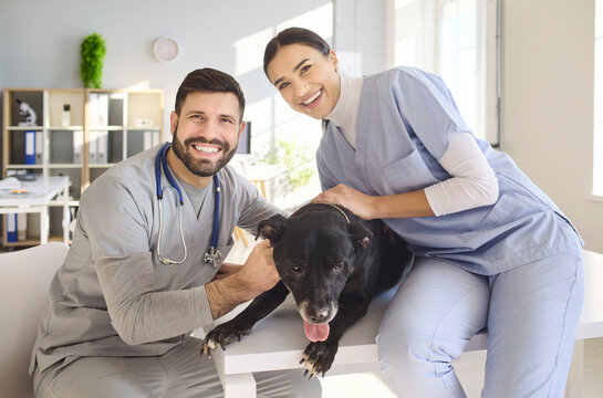 Veterinarians vet doctors greet dog during checkup. In a clinic, two vets comfort a pet on the exam table, showing teamwork and friendly care. Clear concept of veterinary healthcare teamwork.