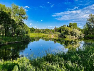 Fototapeta premium Serene Setting in Early Summer on the Fishing Pond in the Nature Park in Rexburg Idaho.
