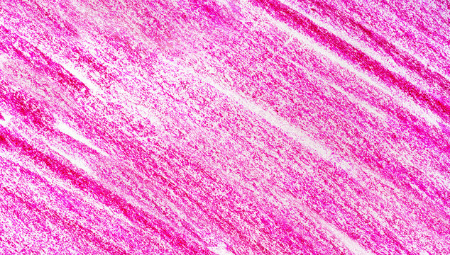 Pencil texture background, line scribble pattern