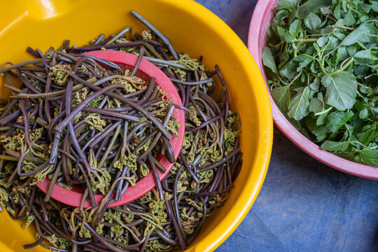 Boiled gosari bracken fern and green wild vegetables in plastic basins at traditional market in South Korea.