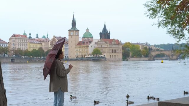 Woman with an umbrella observing river in prague. Traveler standing with protective umbrella overlooking vltava river, watching ducks swimming near picturesque prague old town urban landscape