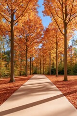 Obraz premium Autumn forest path carpeted with golden and red fallen leaves under tall trees