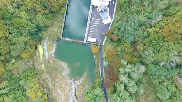 Overhead Nadir 4K Drone View of Colorful Autumn Forest and Reservoir Shoreline at Miwa Dam Japan
