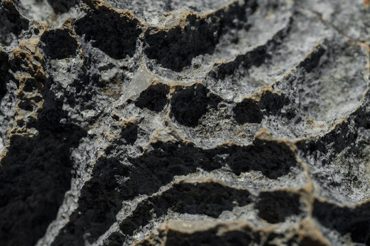 View of sharp, weathered limestone rock formations known as tsingy, featuring deep crevices and a porous, rugged texture in the Ankarana Special Reserve, Diana, Madagascar.