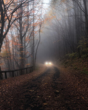 View of a car driving on a forest road covered in autumn leaves through dense fog in Lizzano In Belvedere, Emilia-Romagna, Italy.