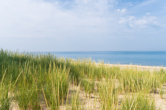 Lake Michigan beach with dune grass on a summer day in Holland, Michigan