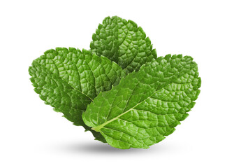 Green mint. Three leaves on white background © New Africa