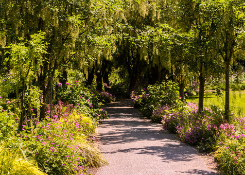 Pathway through a garden with trees and flowers in a sunny setting