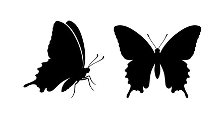 Two swallowtail butterflies are depicted in a stark black silhouette against a white background butterfly insect lepidoptera wings © Sumon
