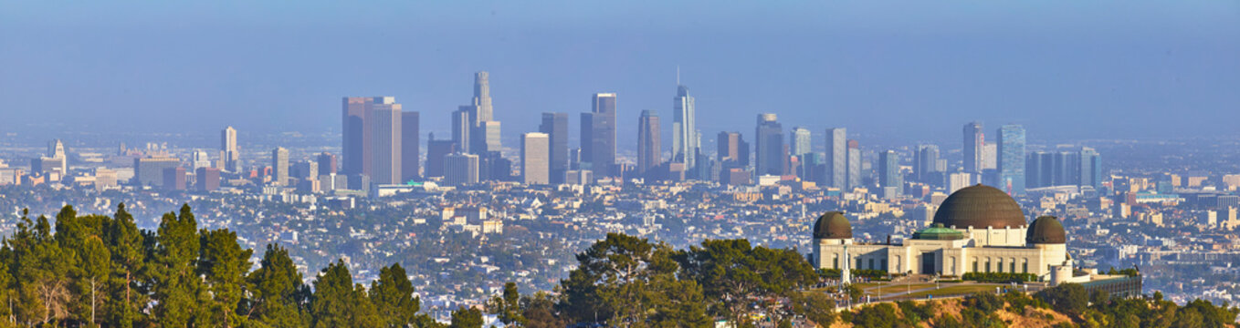 Panorama Griffith Observatory and Los Angeles Skyline with Griffith Park Trees