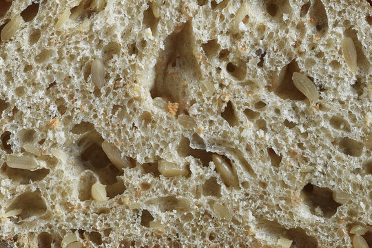 Bread Still Life. Closeup of a single slice of multi grain bread  filling the frame.