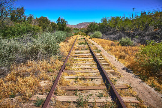 Abandoned Train Track Overgrown Desert Landscape California Railroad Perspective