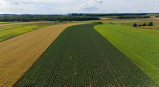 Farmland, Prince Edward Island, Canada. 