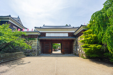 Fototapeta premium 日本の風景・初夏 長野 日本100名城 新緑の上田城趾公園 東虎口櫓門