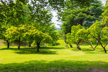 Obraz premium 日本の風景・初夏 長野 日本100名城 新緑の上田城趾公園