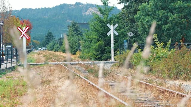 Abandoned railway tracks with crossbuck signs and overgrown grass