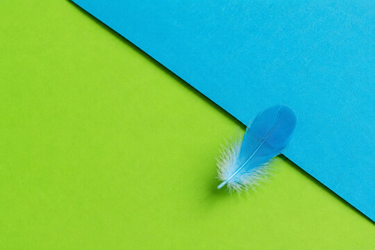AI generated blue feather resting vivid green cyan geometric paper surfaces creating bold minimalist composition vibrant color contrast softness modern design