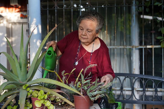se&ntilde;ora vestida de rojo regando sus plantas