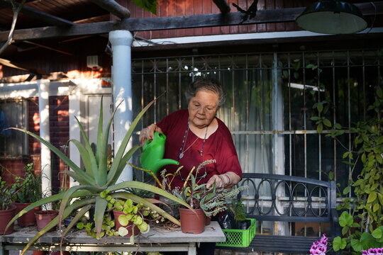 simpatica se&ntilde;ora regando sus plantas con regadera verde