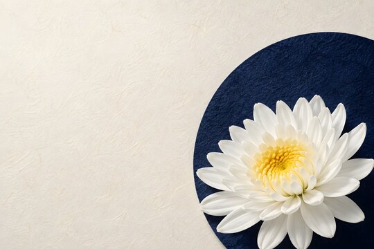 白い菊 Images – Browse 182 Stock Photos, Vectors, and Video