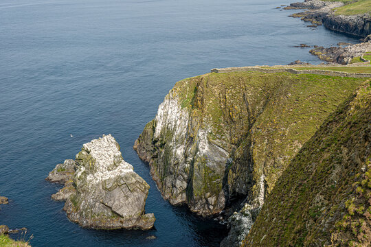 Sea Stack and Cliffs, Sumburgh Head
