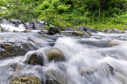 A clear stream flows over wet rocks, surrounded by lush green forest vegetation in a natural outdoor setting.