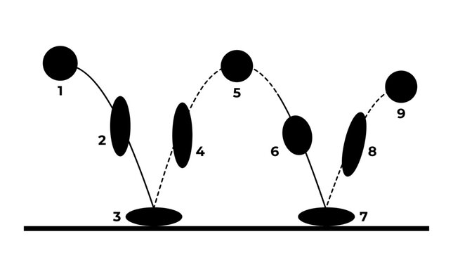 A sequence of a bouncing ball showing motion and deformation.