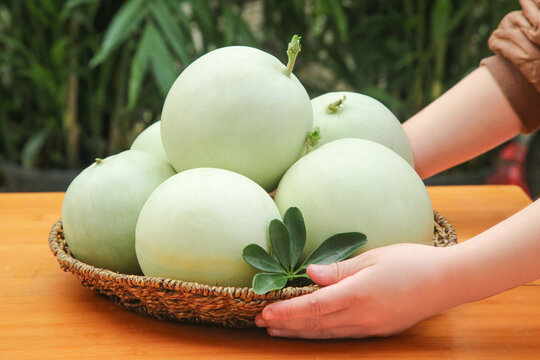 Fresh Jade Melon from Shandong Nanhui in Woven Basket - Organic Green Fruit Harvest