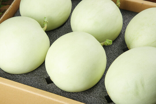 Fresh Green Melons from Nanhui Shandong Province in Wooden Crate Agricultural Produce Supply