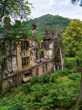 Ruined multi-story building abandoned in a lush green forest, Akarmara, Abkhazia. Collapsed historical architecture overgrown by trees. Nature reclaiming a destroyed derelict structure