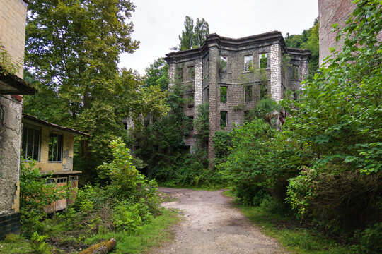 Abandoned multi-story stone building overgrown with lush green vegetation in city of Akarmara, Abkhazia. Nature reclaiming old ruined architecture