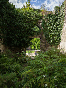 Vertical photo of a man walking through an abandoned stone ruin in city of Akarmara, Abkhazia. Old architecture heavily overgrown with green ivy and ferns. Nature reclaiming forgotten building