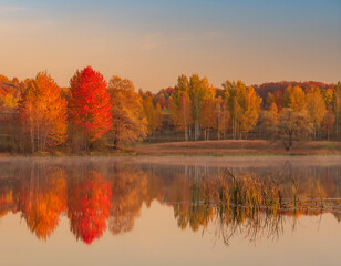 Autumn lake with colorful forest reflection and calm water landscape © AivaVisions