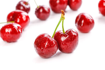 Fresh Early Cherry Blossoms from Shandong Yantai - Large Red Domestic Cherries with Water Drops on White Background © MinhChau