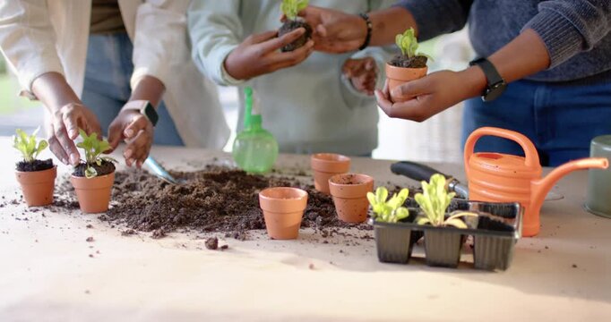 After spreading soil, African American family potting seedlings on patio, parents guiding daughter